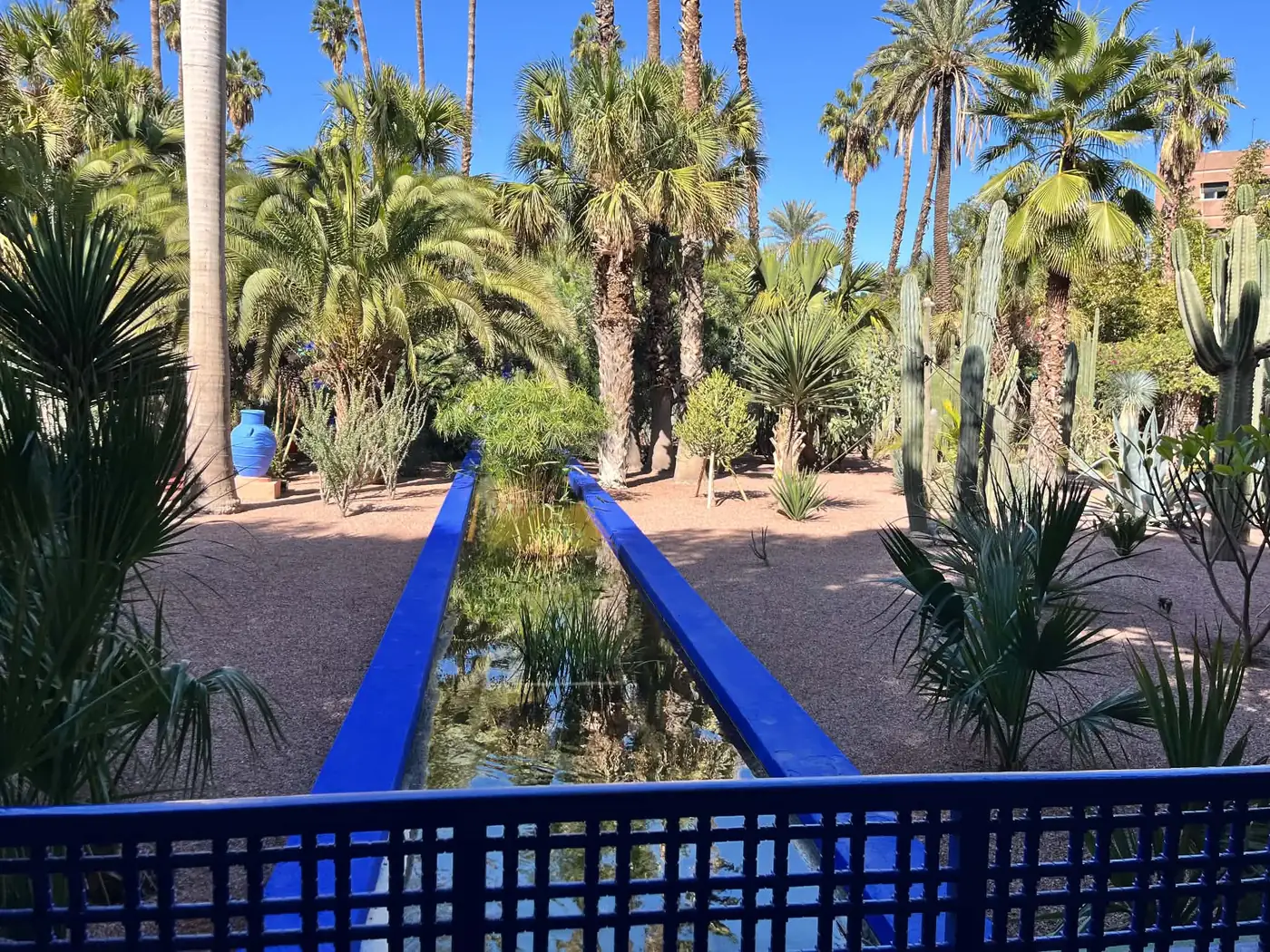 Jardin Majorelle à Marrakech